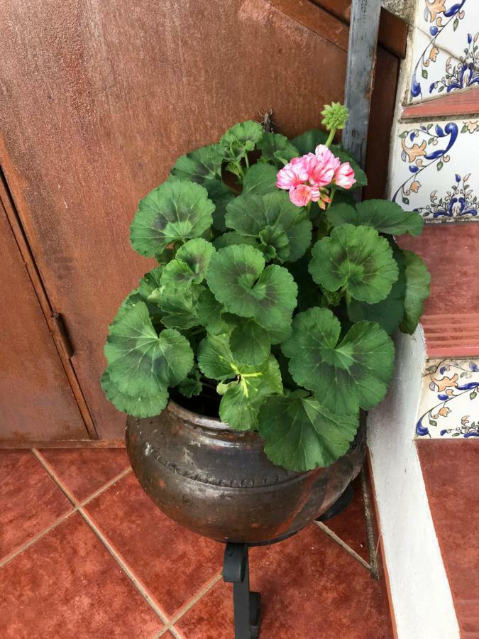 Casa Rural La Herencia Alía 外观 照片