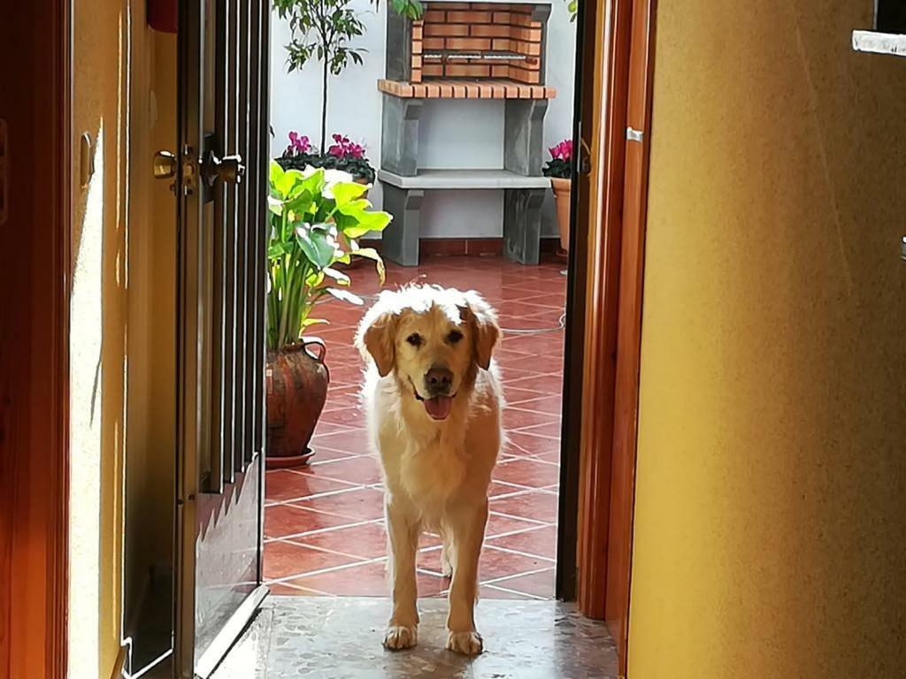 Casa Rural La Herencia Alía 外观 照片